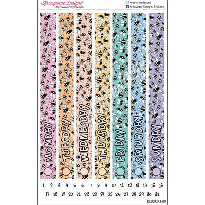 CC Supplement | 2025 Spring (March Coordinates)